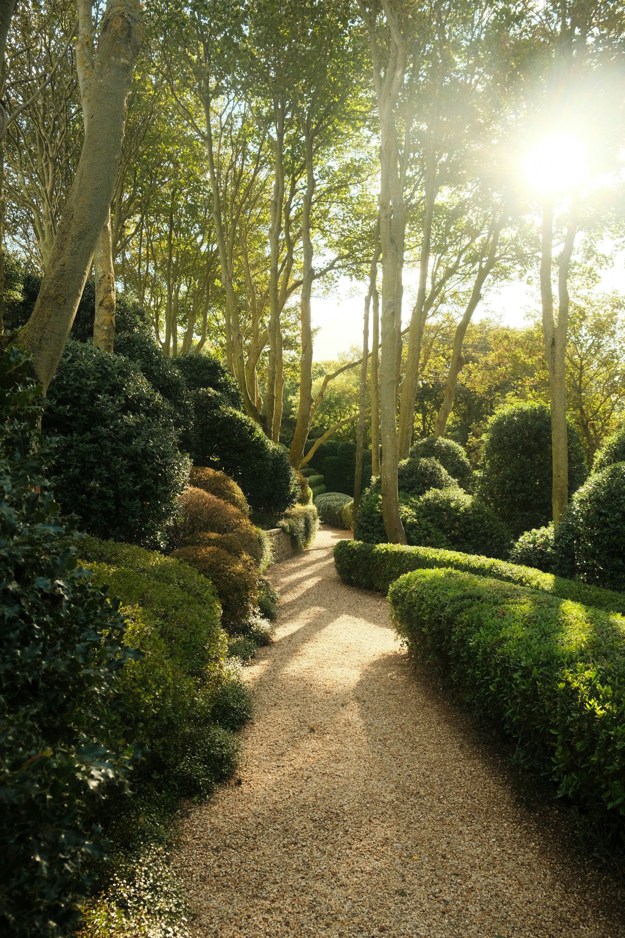Garden Beneath the Maples landscape project